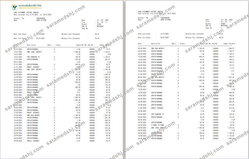 Laos Agricultural Promotion Bank statement Word and PDF template, 3 pages